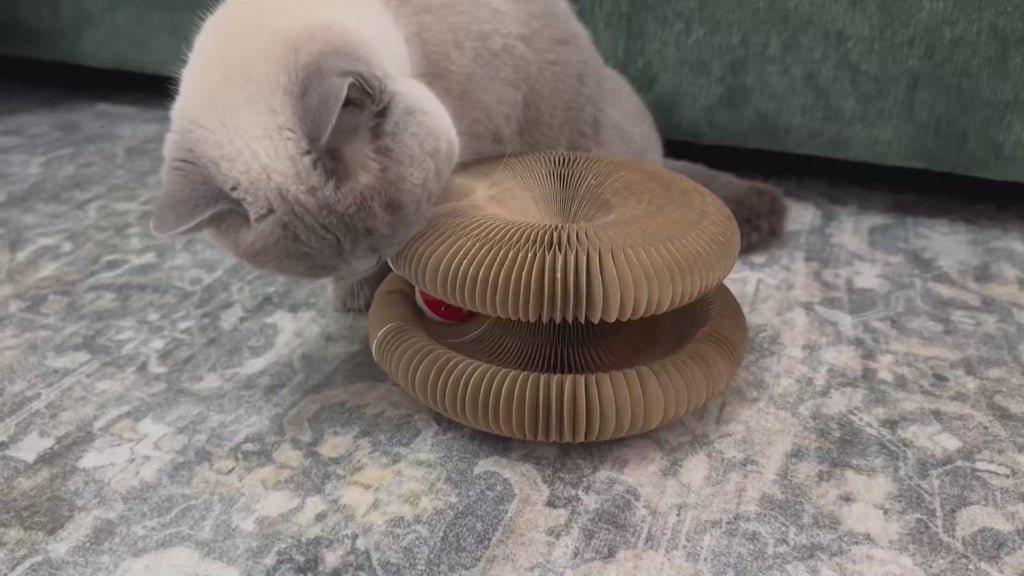 Interactive Magic Organ Scratch Cardboard Foldable Scratching Board with Bell Ball Corrugated Scratch Pad for Indoor Cats